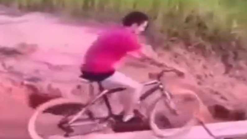 Viral Video : નાના ટ્રેક પર ખતરનાક રીતે સાઇકલ ચલાવી રહ્યો હતો આ વ્યક્તિ, પછી જે થયુ એ જોઈ તમે પણ હસીને લોટપોટ થઈ જશો