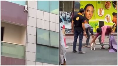 Viral Video: ગર્ભવતી બિલાડીનો જીવ બચાવી ભારતીય લોકોએ દૂબઇમાં રજૂ કર્યુ ઉત્તમ ઉદાહરણ, જુઓ બેસ્ટ VIDEO