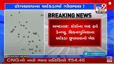 Ahmedabad : રોગચાળાના આંકડા છૂપાવવાનો ખેલ, 10 હજાર કેસ હોવા છતાં AMCના ચોપડે ફક્ત 197 કેસ
