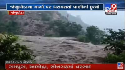 Gujarat : છોટાઉદેપુર, વડોદરા અને પંચમહાલ પંથકમાં ભારે વરસાદ, બોડેલી, ડભોઇ અને જાંબુઘોડામાં આભ ફાટયું