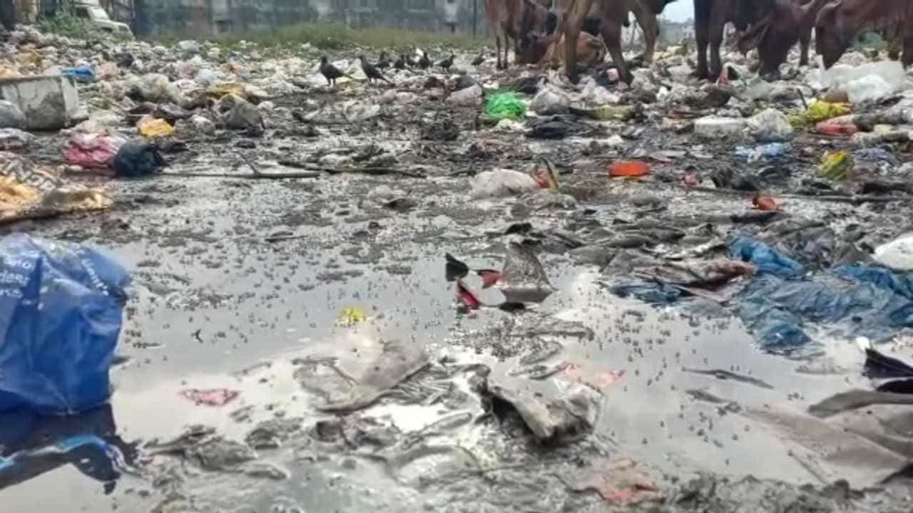 Surat: કોર્પોરેશનની બેવડી નીતિ, સુરતના સ્લમ વિસ્તારોમાં નથી જળવાતું સ્વચ્છતાનું ધોરણ!