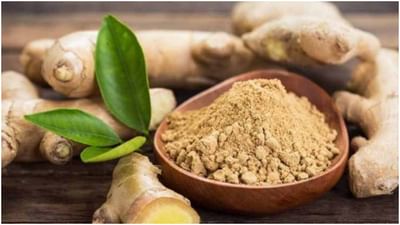 સૂંઠના સ્વાસ્થ્ય લાભ (Health benefits) આદુની જેમ, સૂકા આદુને પણ પોષક તત્વોનો ભંડાર માનવામાં આવે છે. તે પાચન તંત્રને તંદુરસ્ત રાખવામાં મદદ કરે છે, વજન ઘટાડવામાં મદદ કરે છે, 