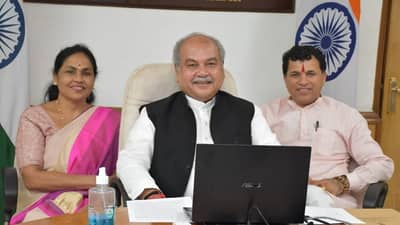 New Crop Varieties: સાત વર્ષમાં જુદા-જુદા પાકની 1,656 નવી જાતો વિકસાવવામાં આવી, ખેડૂતો લઈ રહ્યા છે તેનો લાભ