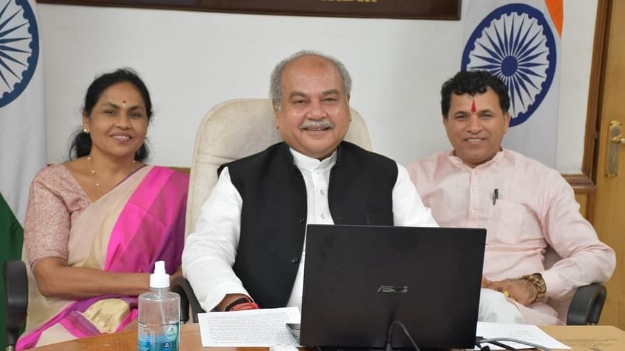 New Crop Varieties: સાત વર્ષમાં જુદા-જુદા પાકની 1,656 નવી જાતો વિકસાવવામાં આવી, ખેડૂતો લઈ રહ્યા છે તેનો લાભ