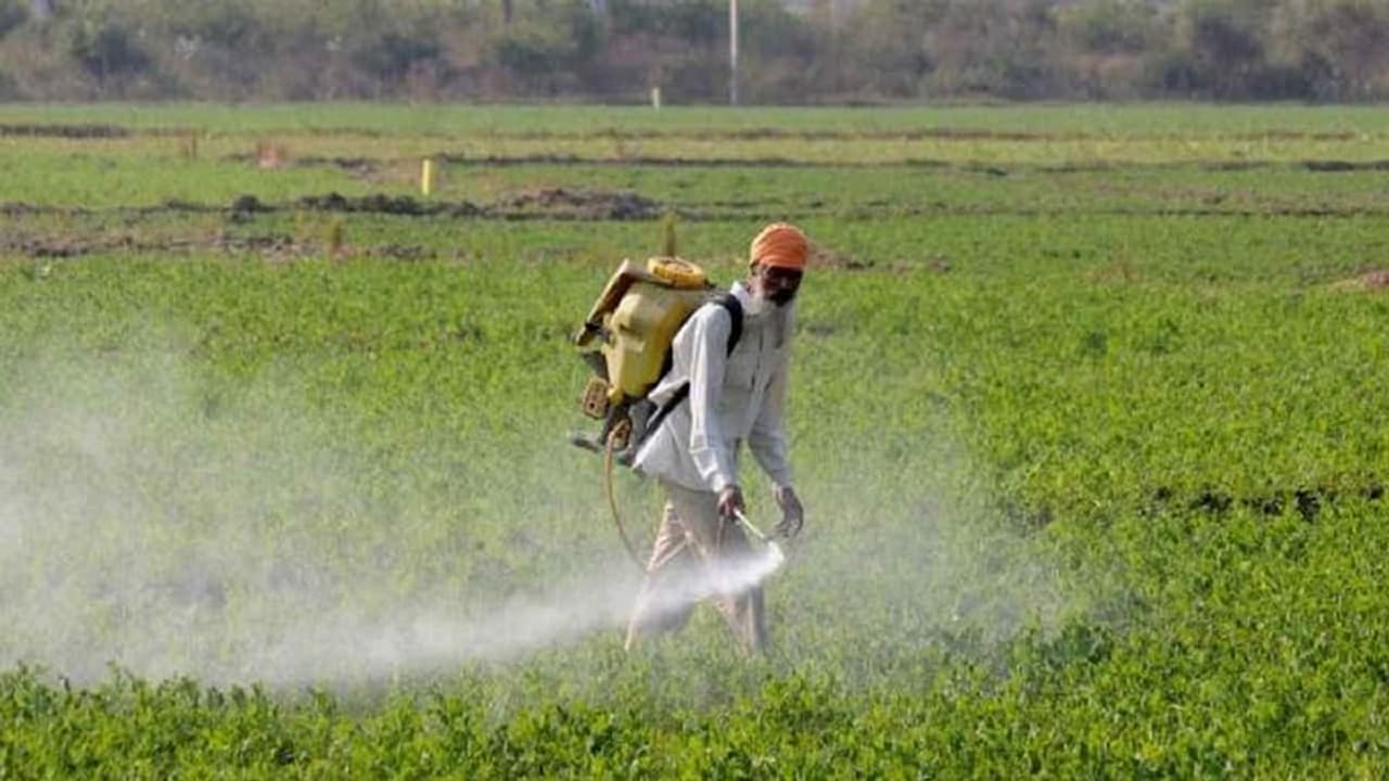 ખેડૂતોનો બનશે ડેટાબેઝ, NeML એ સરકાર સાથે કર્યા કરાર, ખેડૂતોનો મળશે તેનો લાભ
