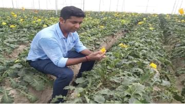 Success Story : માઈક્રોસોફ્ટની 80 લાખ રૂપિયાની નોકરી છોડી ખેતી શરૂ કરી, ફૂલોની ખેતીથી કરે છે અઢળક કમાણી
