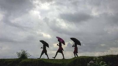 ખેડૂત માટે ચેતવણી : ઘણા જિલ્લાઓમાં ભયંકર વરસાદની સંભાવના, ખેડૂતો આ બાબતોનું રાખે ધ્યાન