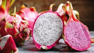 ડ્રેગન ફ્રૂટની ખેતીથી થશે લાખોની કમાણી, જાણો ડ્રેગન ફ્રૂટની ખેતી કેવી રીતે કરવી અને કેટલો નફો મળશે ? ડ્રેગન ફ્રૂટની ખેતીથી થશે લાખોની કમાણી, જાણો ડ્રેગન ફ્રૂટની ખેતી કેવી રીતે કરવી અને કેટલો નફો મળશે ?