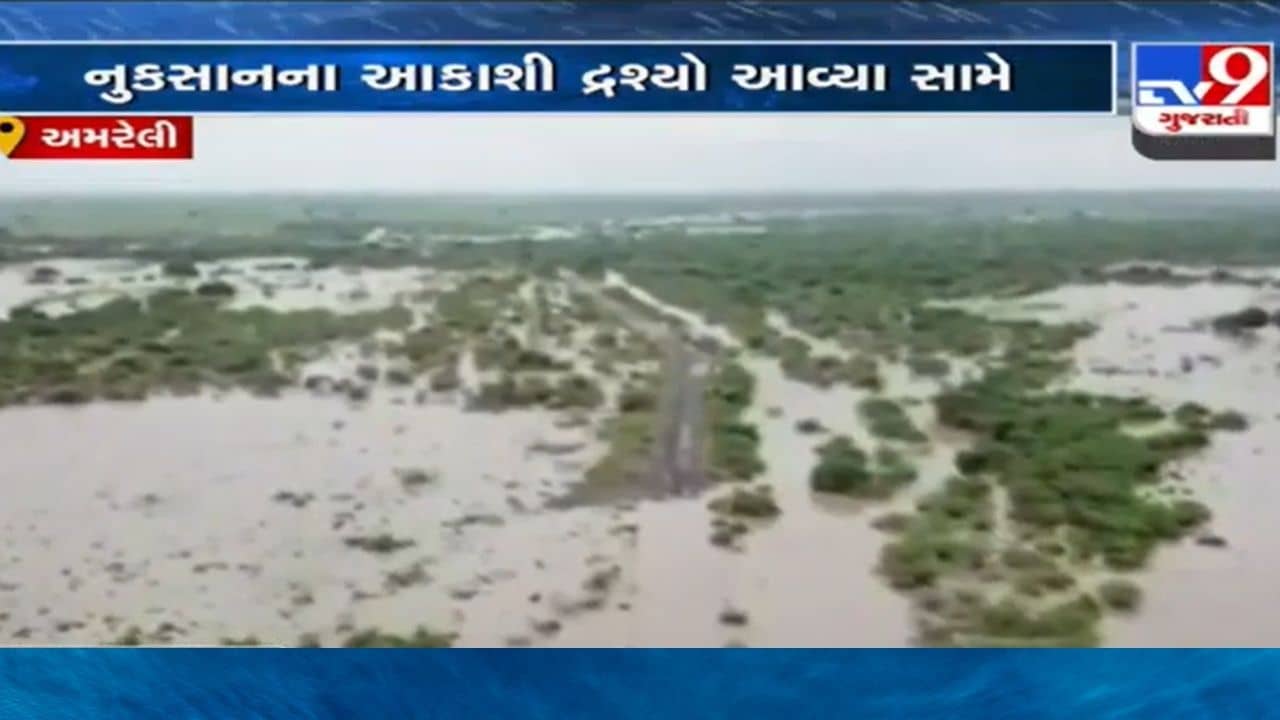 AMRELI: જુઓ તારાજીના આકાશી દ્રશ્યો – ખેતરમાંથી પાણી તો ઓસરી જશે, નુકસાન અને તેની અસર ક્યારે ઓસરશે?