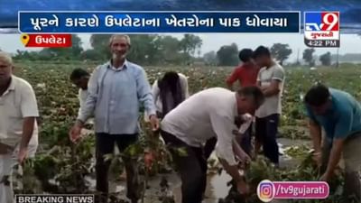 RAJKOT : ઉપલેટામાં ભારે વરસાદથી ખેતીને મોટું નુકસાન, તાત્કાલિક સર્વે કરવા ખેડૂતોની માંગ