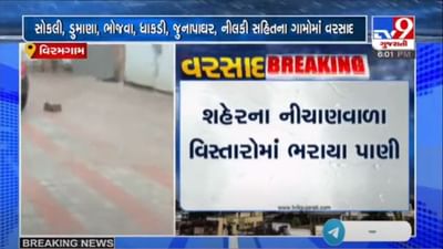 AHMEDABAD :  વિરમગામ શહેર અને ગ્રામ્ય વિસ્તારમાં સતત બીજા દિવસે પણ વરસાદ પડ્યો, ખેડૂતોમાં આનંદ