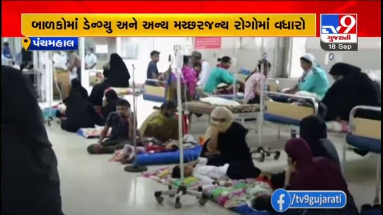 પંચમહાલમાં બાળકોમાં ડેન્ગ્યુ અને અન્ય મચ્છરજન્ય રોગોમાં વધારો, ડેન્ગ્યુના 150થી વધુ કેસ નોંધાયા