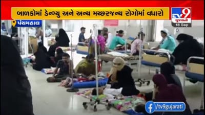 પંચમહાલમાં બાળકોમાં ડેન્ગ્યુ અને અન્ય મચ્છરજન્ય રોગોમાં વધારો, ડેન્ગ્યુના 150થી વધુ કેસ નોંધાયા પંચમહાલમાં બાળકોમાં ડેન્ગ્યુ અને અન્ય મચ્છરજન્ય રોગોમાં વધારો, ડેન્ગ્યુના 150થી વધુ કેસ નોંધાયા