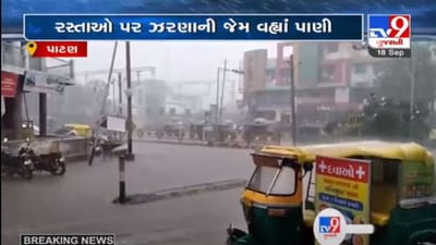 પાટણમાં ભારે પવન અને ગાજવીજ સાથે વરસાદ, નીચાણવાળા વિસ્તારોમાં પાણી ભરાયા પાટણમાં ભારે પવન અને ગાજવીજ સાથે વરસાદ, નીચાણવાળા વિસ્તારોમાં પાણી ભરાયા