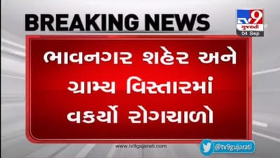 BHAVNAGAR : શહેર અને જિલ્લામાં રોગચાળામાં વધારો,  સરટી હોસ્પિટલના કેમ્પસમાંથી ડેન્ગ્યુના 20 કેસો મળ્યા