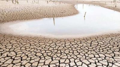 દુષ્કાળની જાહેરાત ક્યારે થઈ શકે?, શું છે દુષ્કાળ માટે સરકારની ગાઈડલાઈન? આવો જાણીએ