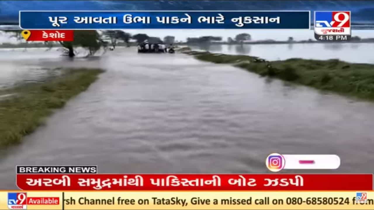 Junagadh: ભારે વરસાદથી ઘેડના ખેતરો બન્યા નદી સમા, જગતના તાતે સર્વે કરીને સહાય આપવાની સરકારને માંગ