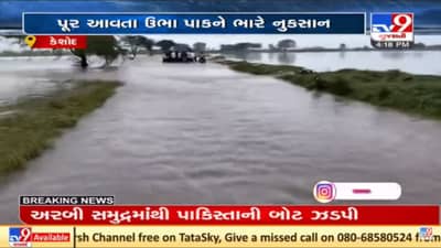 Junagadh: ભારે વરસાદથી ઘેડના ખેતરો બન્યા નદી સમા, જગતના તાતે સર્વે કરીને સહાય આપવાની સરકારને માંગ