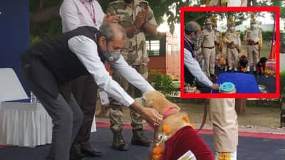 Ahmedabad: એરપોર્ટના સ્નિફર ડોગ્સ વય નિવૃત થતાં યોજાયો ભવ્ય વિદાય સમારોહ, જાણો આ ડોગ્સની ખાસિયત