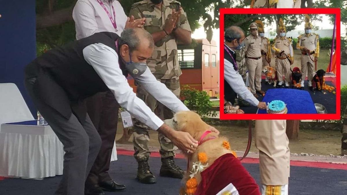 Ahmedabad: એરપોર્ટના સ્નિફર ડોગ્સ વય નિવૃત થતાં યોજાયો ભવ્ય વિદાય સમારોહ, જાણો આ ડોગ્સની ખાસિયત