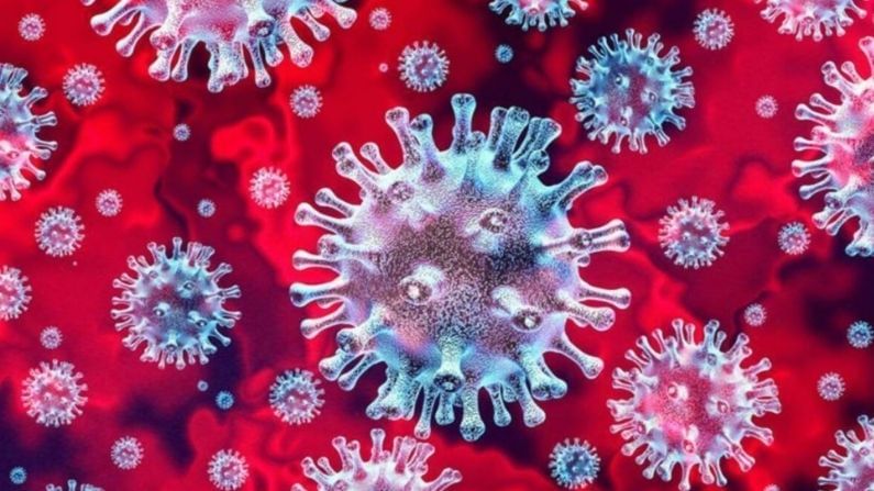 GUJARAT CORONA UPDATE : રાજ્યમાં 6 સપ્ટેમ્બરે કોરોનાના નવા 19  કેસ, 6 લાખ લોકોનું રસીકરણ થયું