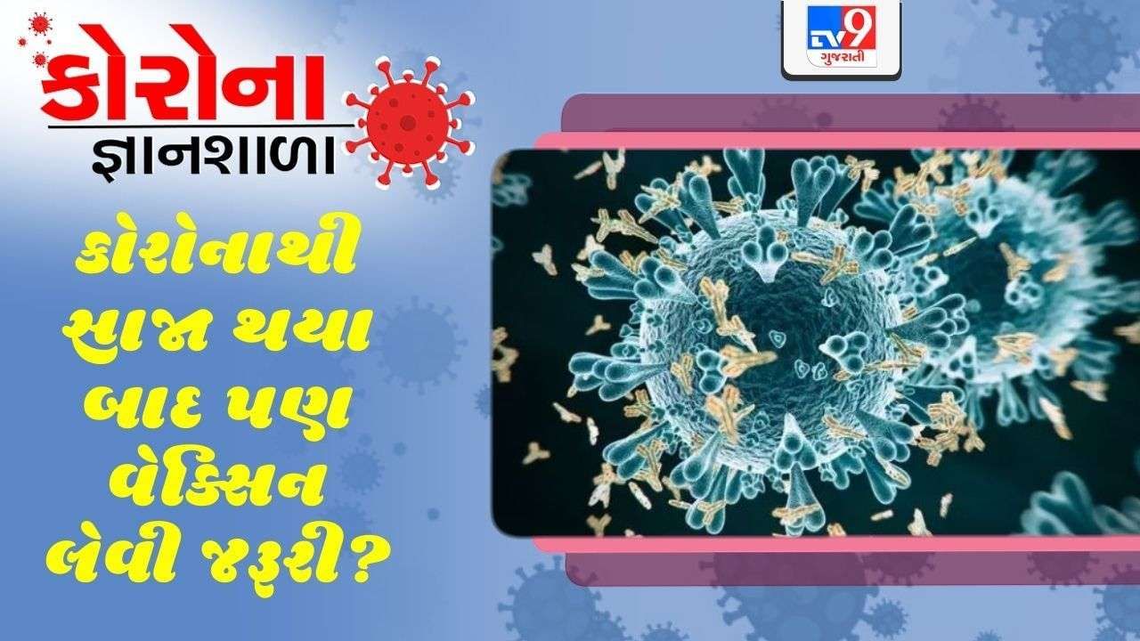 કોરોના જ્ઞાનશાળા: શું કોરોનાથી સાજા થયા બાદ પણ વેક્સિન લેવી છે જરૂરી? જાણો વિગત સાથે કારણ