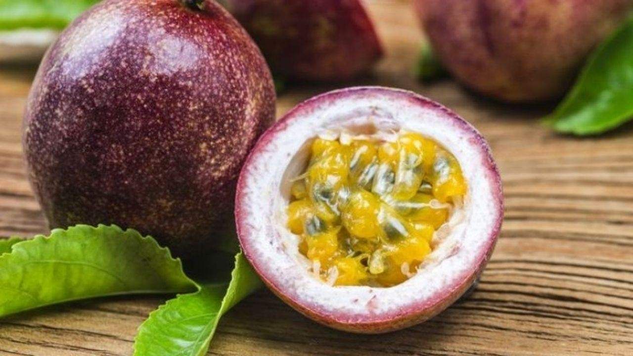 Health Benefits: દુર્લભ છે આ કૃષ્ણ ફળ, પરંતુ તેના ફાયદા જાણીને તમે પણ આજે જ લઈ આવશો ઘરે