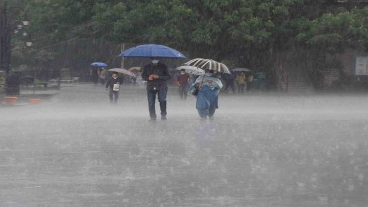 Maharashtra Rain: ચક્રવાતી તોફાન 'ગુલાબ'ની અસરને કારણે મહારાષ્ટ્રના આ વિસ્તારોમાં પડશે મુશળધાર વરસાદ, 4 દિવસ માટે ચેતવણી જાહેર