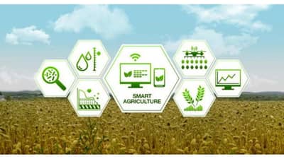 કૃષિ ક્ષેત્રમાં બિઝનેસ આઈડિયા આપી સ્ટાર્ટઅપ્સ શરૂ કરવા માટે તમે મેળવી શકો છો 25 લાખ રૂપિયા, આ રીતે કરો અરજી