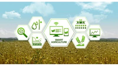 કૃષિ ક્ષેત્રમાં બિઝનેસ આઈડિયા આપી સ્ટાર્ટઅપ્સ શરૂ કરવા માટે તમે મેળવી શકો છો 25 લાખ રૂપિયા, આ રીતે કરો અરજી