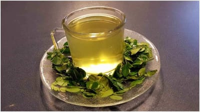 Weight Loss Tips : વજન ઘટાડવા માટે ડાયેટમાં ડ્રમસ્ટિક ચાનો સમાવેશ કરો