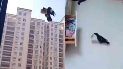 OMG: ચોર કાગડો! ચાંચમાં પૈસા ચોરીને લાવતા કાગડાનો વીડિયો વાયરલ