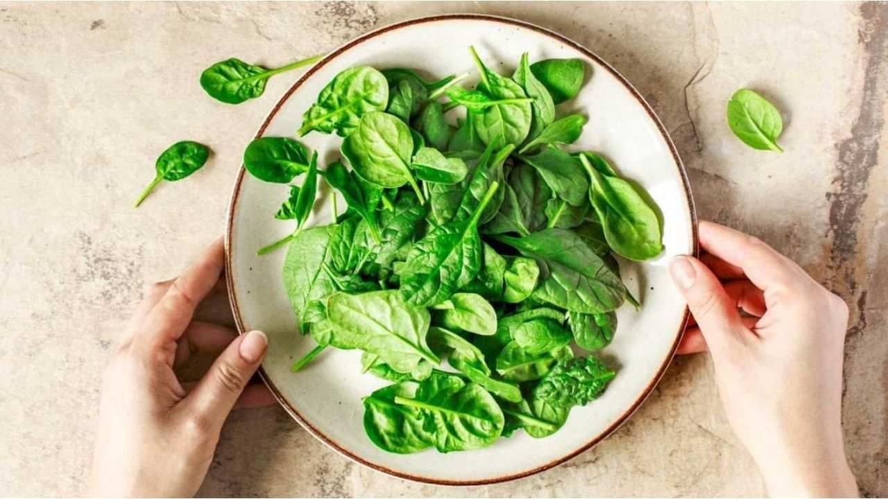 Health Benefits of Spinach : પાલક ખાવાના આ ફાયદાઓ નહીં જાણતા હોવ તમે