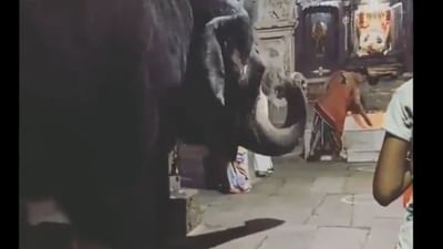 Video : ગજરાજે ગણપતિના ચરણોમાં ઝુકાવ્યુ શીશ ! લોકોએ કહ્યું આવી ભક્તિ પહેલા ક્યારેય જોઈ નથી