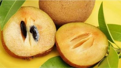 બારેમાસ મળતા ચીકુ તમારા સ્વાસ્થ્ય માટે છે ખૂબ ફાયદાકારક, જાણો તેના ગુણ અને ફાયદાઓ