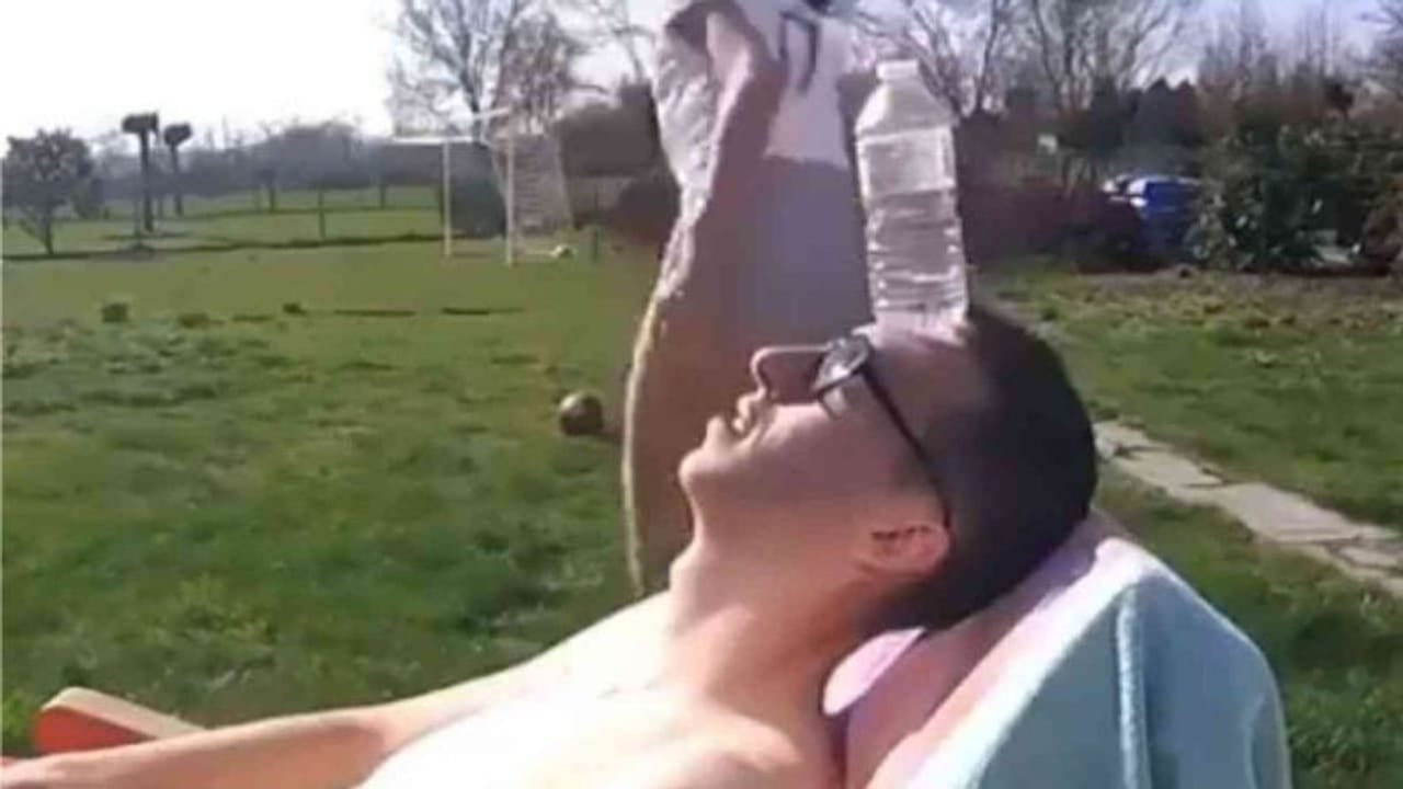 છોકરીના સ્ટંટના ચક્કરમાં તેના બોય ફ્રેન્ડના હાલ થયા બેહાલ, વીડિયો જોઈને લોકો બોલ્યા...ઉપ્સ...