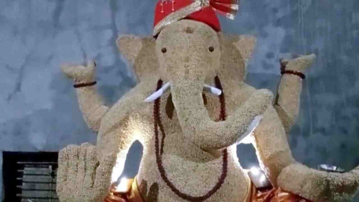 બાપ્પાની આ અનોખી મૂર્તિ ચર્ચામાં!  સોયાબીનમાંથી બનાવવામાં આવેલી આ મૂર્તિ જોઈને તમે પણ કહેશો OMG