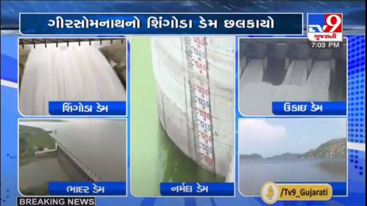 રાજ્યમાં વરસાદને કારણે ભાદર, ઉકાઈ સહીતના ડેમોમાંથી પાણી છોડાયું, તો અન્ય ડેમો ઓવરફલો થયા