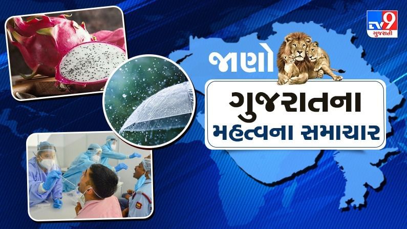 Gujarat Top News: રાજ્યમાં વરસાદ, શિક્ષણ કે રાજકીય હલચલ અંગેના મહત્વના સમાચાર વાંચો માત્ર એક ક્લિકમાં