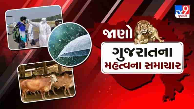 Gujarat Top News: રાજ્યમાં કોરોનાની સ્થિતિ, વરસાદ કે વિવિધ જિલ્લાને લગતા મહત્વના સમાચાર, જાણો માત્ર એક ક્લિકમાં