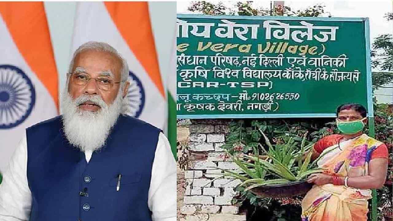 Aloe Vera Farming : એલોવેરાની ખેતીથી આ ગામને મળી ઓળખ, પીએમ મોદીએ મન કી બાત કાર્યક્રમમાં પણ કર્યો છે ઉલ્લેખ