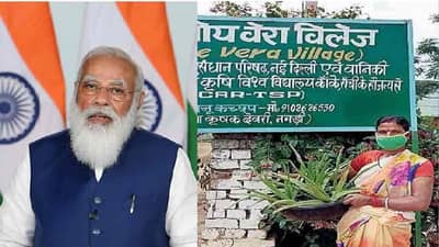 Aloe Vera Farming : એલોવેરાની ખેતીથી આ ગામને મળી ઓળખ, પીએમ મોદીએ મન કી બાત કાર્યક્રમમાં પણ કર્યો છે ઉલ્લેખ