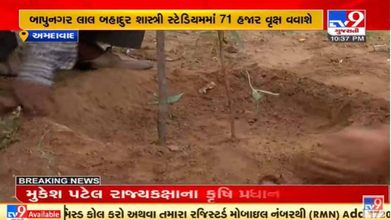 અમદાવાદ કોર્પોરેશન કરશે પીએમ મોદીના જન્મ દિવસની અનોખી ઉજવણી, 71 હજાર વૃક્ષો વાવી નમો વન બનાવાશે