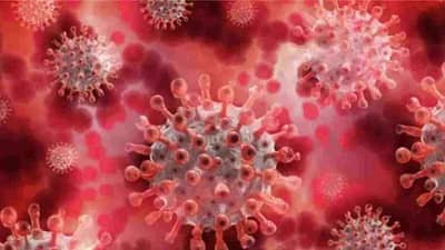 Maharashtra Corona Updates: નાગપુરે વધારી દેશની ચિંતા, પૂણેથી ટ્રેનિંગ લઈને આવેલા 12 પોલીસકર્મી કોરોના પોઝિટીવ