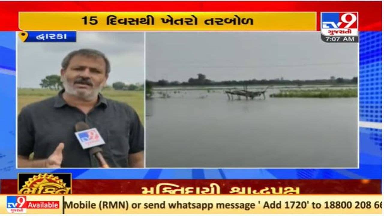 સૌરાષ્ટ્રમાં અવિરત વરસાદથી ખેતરોમાં પાણી ભરાયા, કિસાન કોંગ્રેસની ખેડૂતોને તાત્કાલિક સહાય ચૂકવવા માંગ