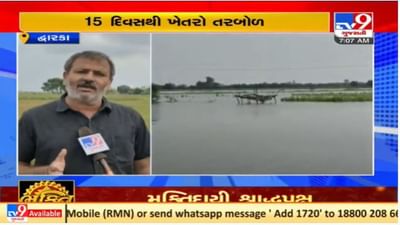 સૌરાષ્ટ્રમાં અવિરત વરસાદથી ખેતરોમાં પાણી ભરાયા, કિસાન કોંગ્રેસની ખેડૂતોને તાત્કાલિક સહાય ચૂકવવા માંગ