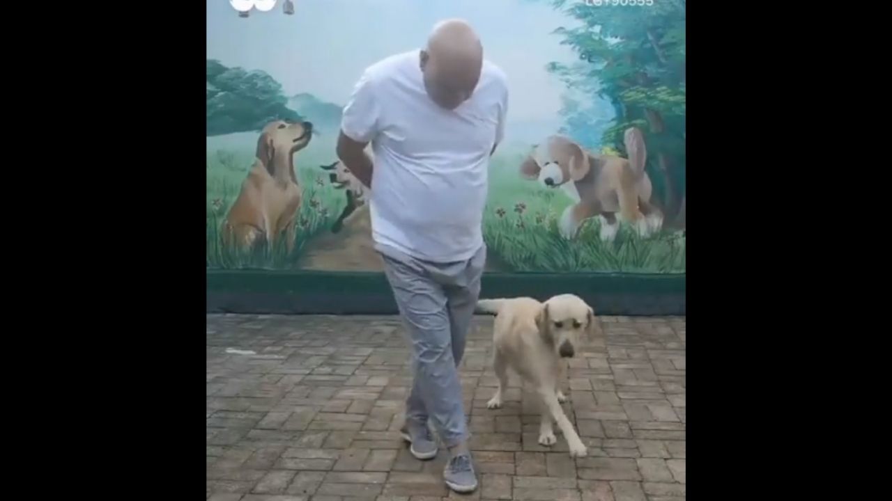 Video : શું તમે ક્યારેય કુતરાને ડાન્સ કરતા જોયા છે ? આ વીડિયોમાં જુઓ કુતરાનો અનોખો અંદાજ !
