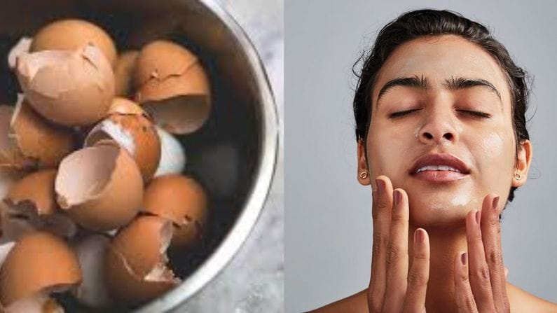 Skin Care : ઇંડાની છાલ ફેંકી દેવાની ભૂલ ન કરો, તે ત્વચા માટે ખૂબ ફાયદાકારક છે, જાણો કેવી રીતે ?