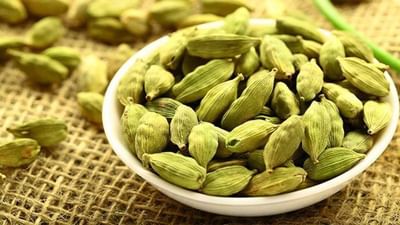 Health : વજન ઓછું કરવા પાણીમાં ઉમેરો પાંચ એલચીના દાણા અને પછી જુઓ પરિણામ