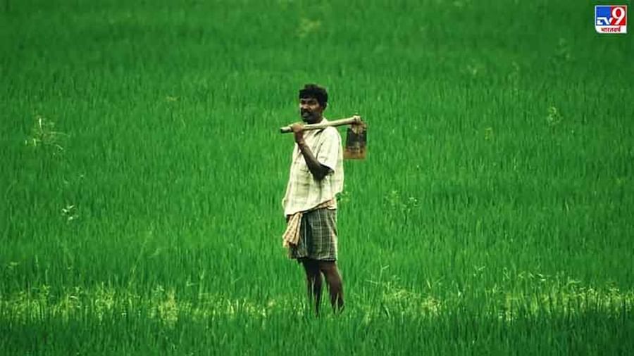 Good News for Farmer: ખેડૂતોની આવક બમણી કરવા માટે સરકારે બીજું મોટું પગલું ભર્યું, લાખો રૂપિયાની મદદની જાહેરાત